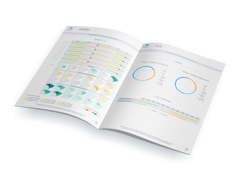 Mockup_A4_Brochure_3-3