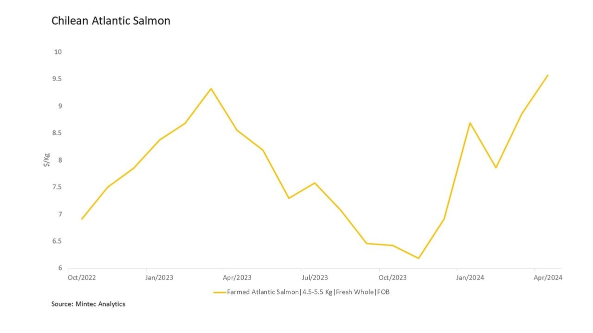 Salmon  April 2024 final