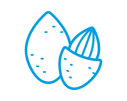 almond icon