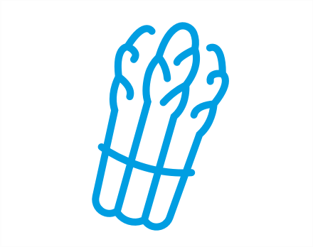 asparagus icon