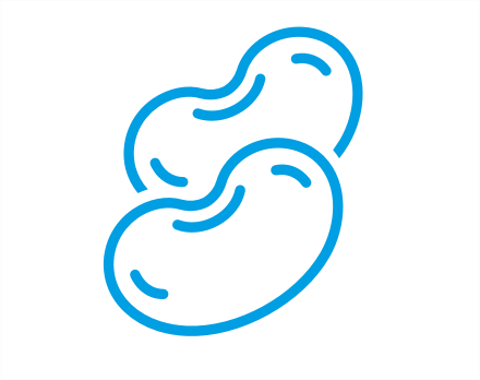 beans icon