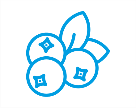 blueberry icon