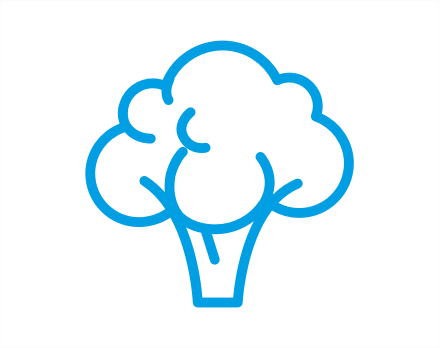 broccoli icon