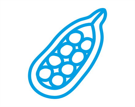 cardamom Icon 2
