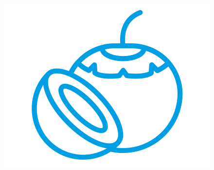 coconut icon