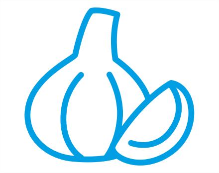 garlic icon-1