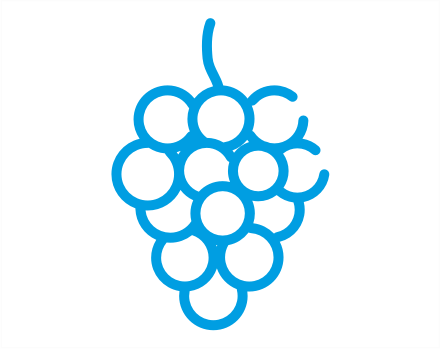 grape icon