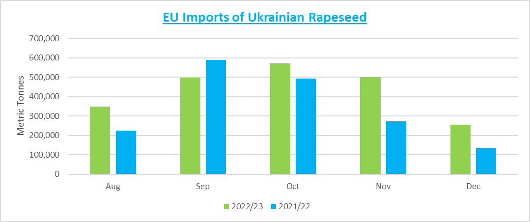 Rapeseed Price 2023