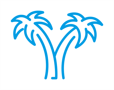 palm Icon