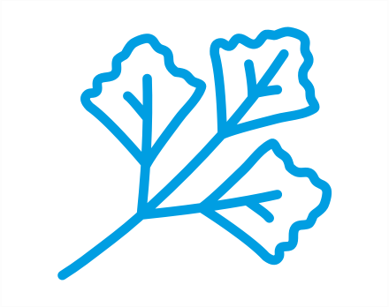 parsley icon
