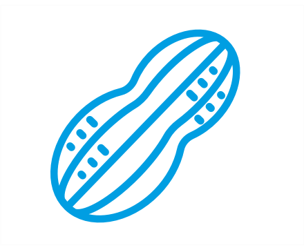 peanut icon