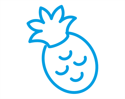 pineapple icon