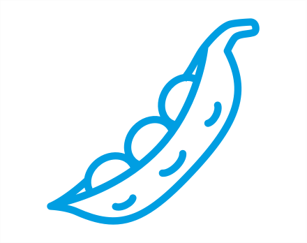 soybean icon