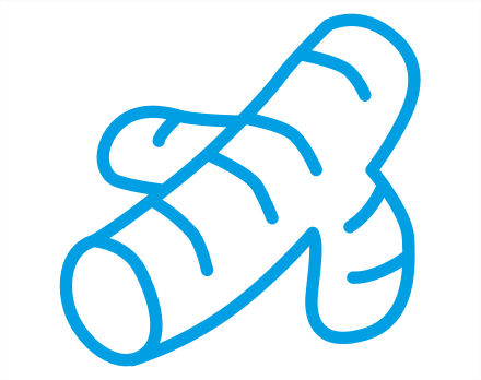 turmeric icon