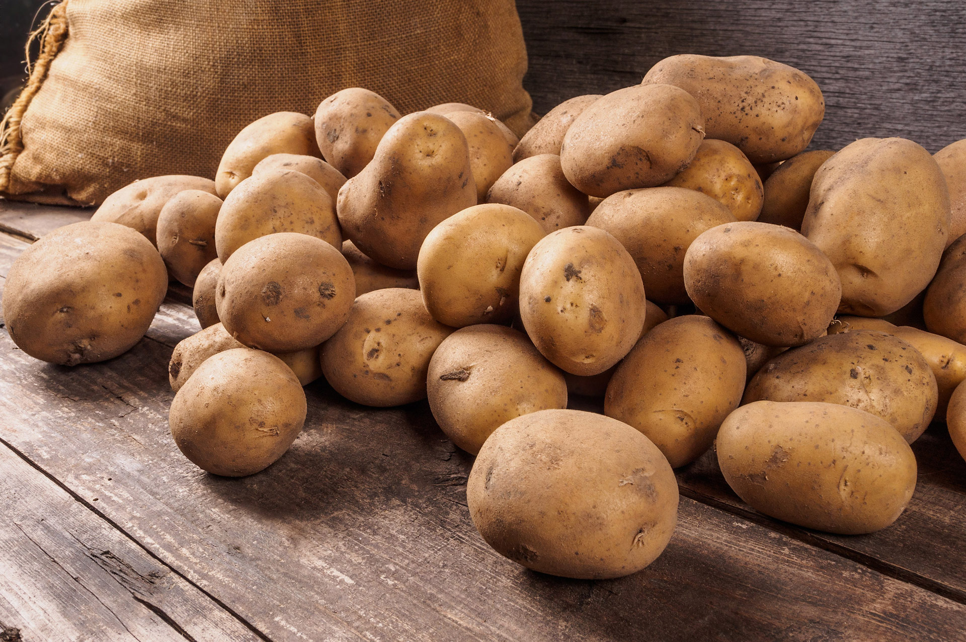 Dutch processing potatoes reach their highest-ever February price