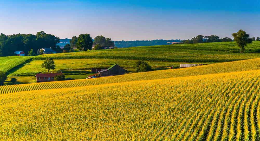 European farmers' protests