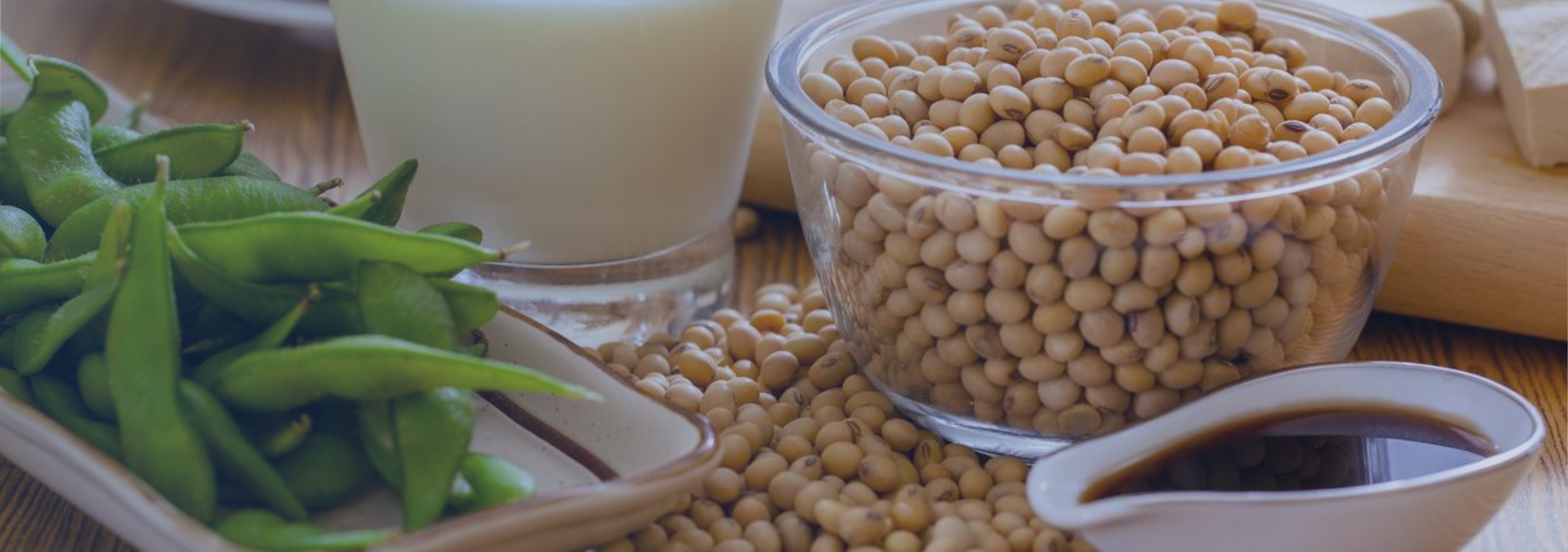 plant-based_protein